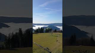 Aussichtsturm Brend bei Furtwangen im Schwarzwald [upl. by Hibbitts]