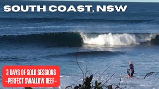 SOUTH COAST NSW  SURFING DRY REEF  MAY 2023 [upl. by Noell380]