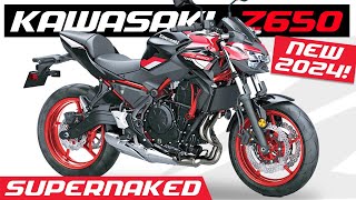 All New KAWASAKI Z650  2024 Specs [upl. by Wymore]