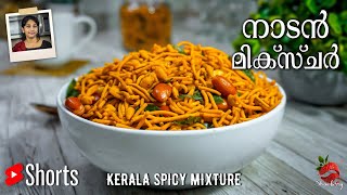 Mixture Recipe in Malayalam  Spicy Kerala Mixture Recipe  Micher Recipe  Snack Recipe Malayalam [upl. by Emanuele912]