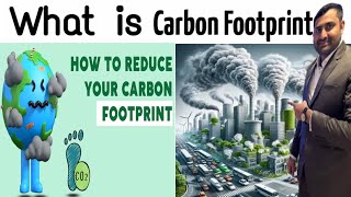 Carbon Footprint in hindi  Understand it in a Simple Hindi  carbon offsets SafetyTrainerNebosh [upl. by Benedick279]