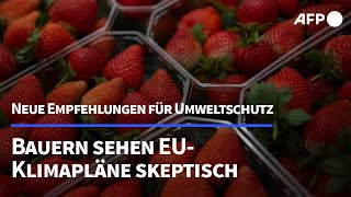 Neuer Klimaplan der EU könnte Bauernproteste neu entfachen  AFP [upl. by Ley]