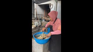 MEMBERI MAKAN BEBEK USIA 60 HARI  NUÔI VỊT 60 NGÀY TUỔI  ให้อาหารเป็ดอายุ 60 วัน 🦆🦆🦆 [upl. by Ahseikram]