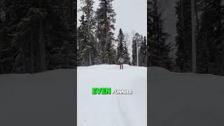 Skiing Confidence Gone Wrong Watch the Fail 🎿😅 shorts [upl. by Yelruc]