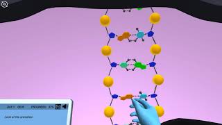 DNA Packaging and Cell Division 3D animation by Labster [upl. by Nnyllatsyrc308]