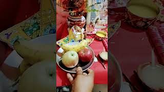 laddu gopal Radhe Krishnavideo acchi Lage to like and share subscribe kijiega🌹🙏🙏🙏 [upl. by Ardisi]