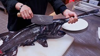 Most unique fish！Steamed fish Sashimi cutting skills 怪物魚降臨！ 鴨嘴鱘切割技巧 清蒸白鱘魚 刺身 [upl. by Inaboy]