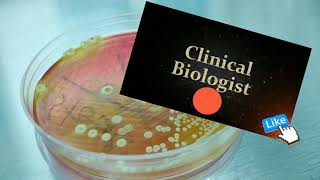 XLD agar E Coli Selective Differential Media [upl. by Kaya]