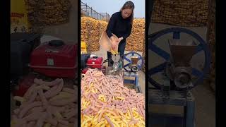 Corn chips🌽🌽 amazingfacts youtubeshorts [upl. by Papageno175]