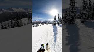 Do you tag markers  Whistler resort BC Canada [upl. by Ludwigg]