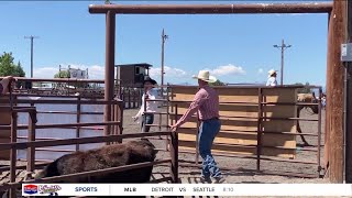 Three Forks Rodeo ready for busy weekend [upl. by Sihun]