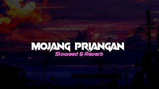 DJ MOJANG PRIANGAN  Sloweed amp Reverb [upl. by Ahsaetal82]