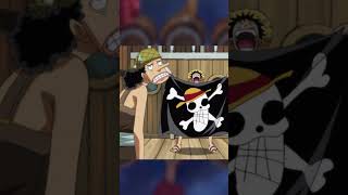 Mugiwaras en la vida real onepiece luffy zoro [upl. by Anazraf195]