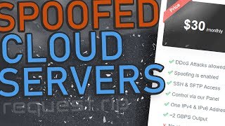 CHEAP SPOOFED CLOUD SERVERS  RequestRip [upl. by Noiwtna]