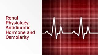 Renal Physiology Antidiuretic Hormone and Osmolarity [upl. by Nrev]