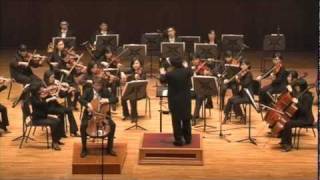 Haydn Cello Concerto in D Part 2 [upl. by Anama]