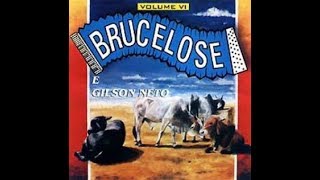 BRUCELOSE  Saudade de você com letra [upl. by Thorner]