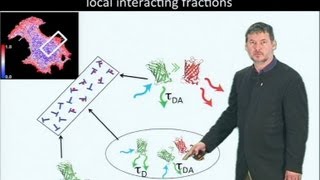 Microscopy Fluorescence Lifetime Imaging Microscopy FLIM Philippe Bastiaens [upl. by Colvert]