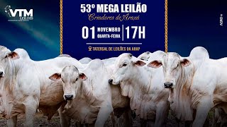 53º MEGA LEILÃO CRIADORES DE ARAXÁ  VTM E CONVIDADOS [upl. by Calandra]