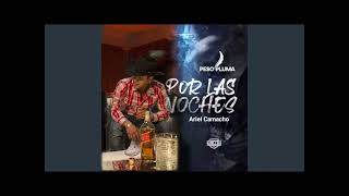 Ariel Camacho  Por las Noches ft Peso pluma [upl. by Joycelin]