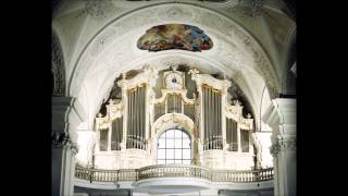 The Holzhey Organ 1787 in Weißenau  JSBach Fantasy amp Fugue in g  BWV 542 [upl. by Einnahpets]