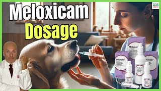 🔴 MELOXICAM FOR DOGS DOSAGE PRICE AND USES 🔴 [upl. by Rebme]