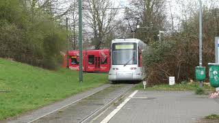 Rheinbahn NF8U an der Endhaltestelle Düsseldorf Uni OstBotanischer Garten Wendeschleife [upl. by Luehrmann423]