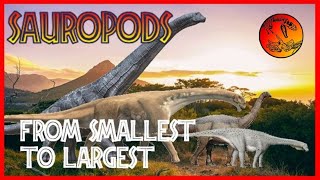 DINOSAUR size COMPARISON 🌴🦕🦖🌴  SAUROPODS  DINOSAURIOS tamaños COMPARATIVOS  SAURÓPODOS [upl. by Aldis185]