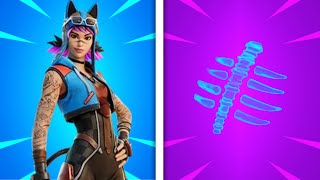 10 Most TRYHARD Renegade Lynx Combos In Fortnite [upl. by Merc]