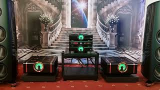 Playback Designs MPS8 Dan DAgostino Relentless Preamplifier amp 800 Mono Magico M6 [upl. by Ainig253]