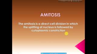 cell division amitosis [upl. by Patt417]