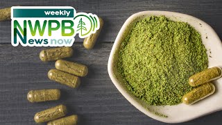 A Closer Look at Kratom and Efforts to Improve Behavioral Health in Washington November 15 2024 [upl. by Sivrad515]