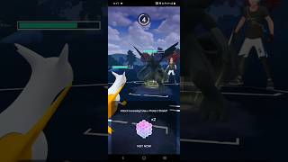 Shiny✨ Latias vs black Zekrom ⚫most epic battlepokemon pokemongo shorts [upl. by Mycah]