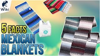 Mexican Blankets 5 Fast Facts [upl. by Tirza208]