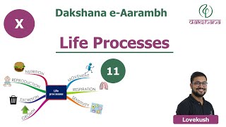 Dakshana  Aarambh  Class X  Biology  Life Processes  L11  Lovekush [upl. by Irot]