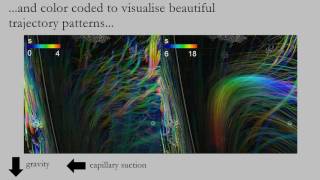 Dynamics in single liquid aluminium films investigated by synchrotron Xray radioscopy [upl. by Otxis22]