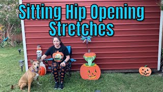 Sitting Hip Opening Stretches [upl. by Verlie]