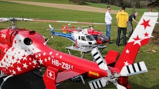 ALK Heli Frühlingstreffen 2015 [upl. by Namien877]