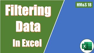 Filtering Data In Excel Data Analysis For Beginners [upl. by Ahsetan]