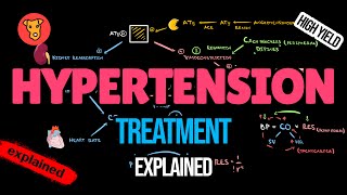 ANTIHYPERTENSIVE DRUGS Mechanism of action Side effects Pharmacology [upl. by Verdie]