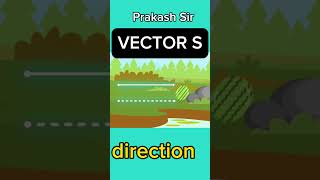 scalar vs vector Vector definition example displacement force velocity acceleration momentum [upl. by Ameerahs177]