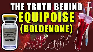 THE TRUTH BEHIND EQUIPOISE  Does Boldenone Aromatize Into Estradiol Or Act As An AI [upl. by Nnalatsyrc737]