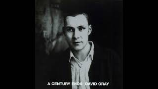 David Gray  Birds Without Wings [upl. by Cross]