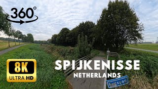 Hartelpark Spijkenisse in Netherlands 8K Video 360° VR Part 2 [upl. by Ayim]