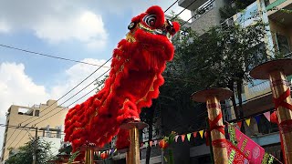 Best Acrobatic Lion dance 2024 by Nhon Nghia  Ky Yen festival  Hung Phu pagoda  red lion [upl. by Virginia]