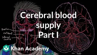 Cerebral blood supply Part 1  Circulatory System and Disease  NCLEXRN  Khan Academy [upl. by Eimac]