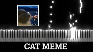 Cat Meme Piano [upl. by Keele]