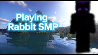 play minecraft rabbit smp ft damiantherabbit [upl. by Asyram]