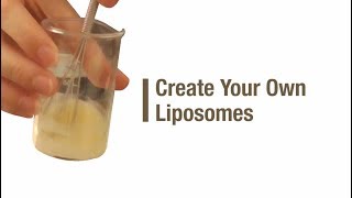 Create your own liposomes [upl. by Orhtej]