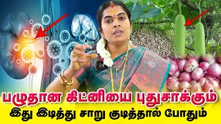 Kidney Failure  🧅Small Onion 🥒Bottle Gourd  Rejuvenate Damaged Kidney  Tamil [upl. by Reham]